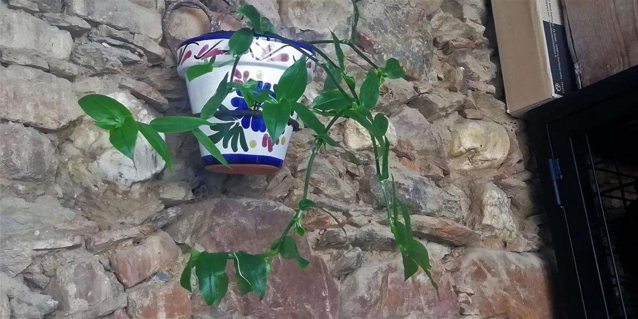 Casa Rural Abuela Maxi Riolobos Екстер'єр фото